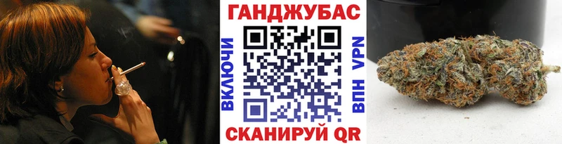 Бошки марихуана сатива  Купить где  Аргун 